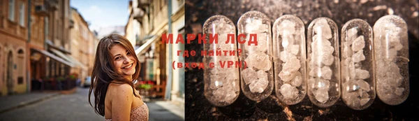 гидропоника Верея