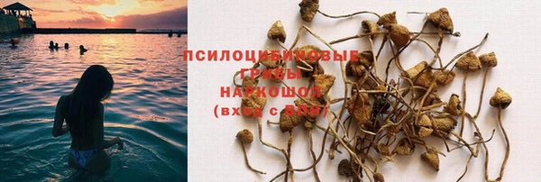 гидропоника Верея